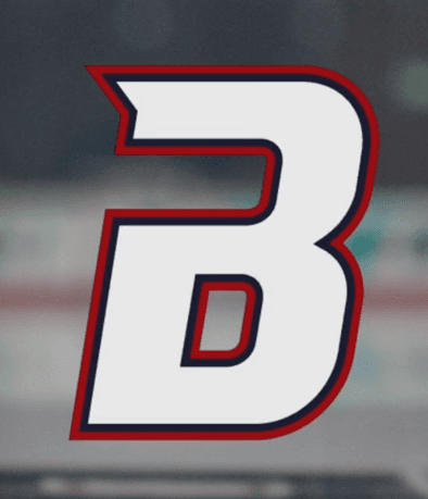 Bardownski Logo